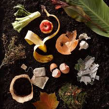compost and food scraps