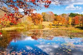 CT fall foliage and lake