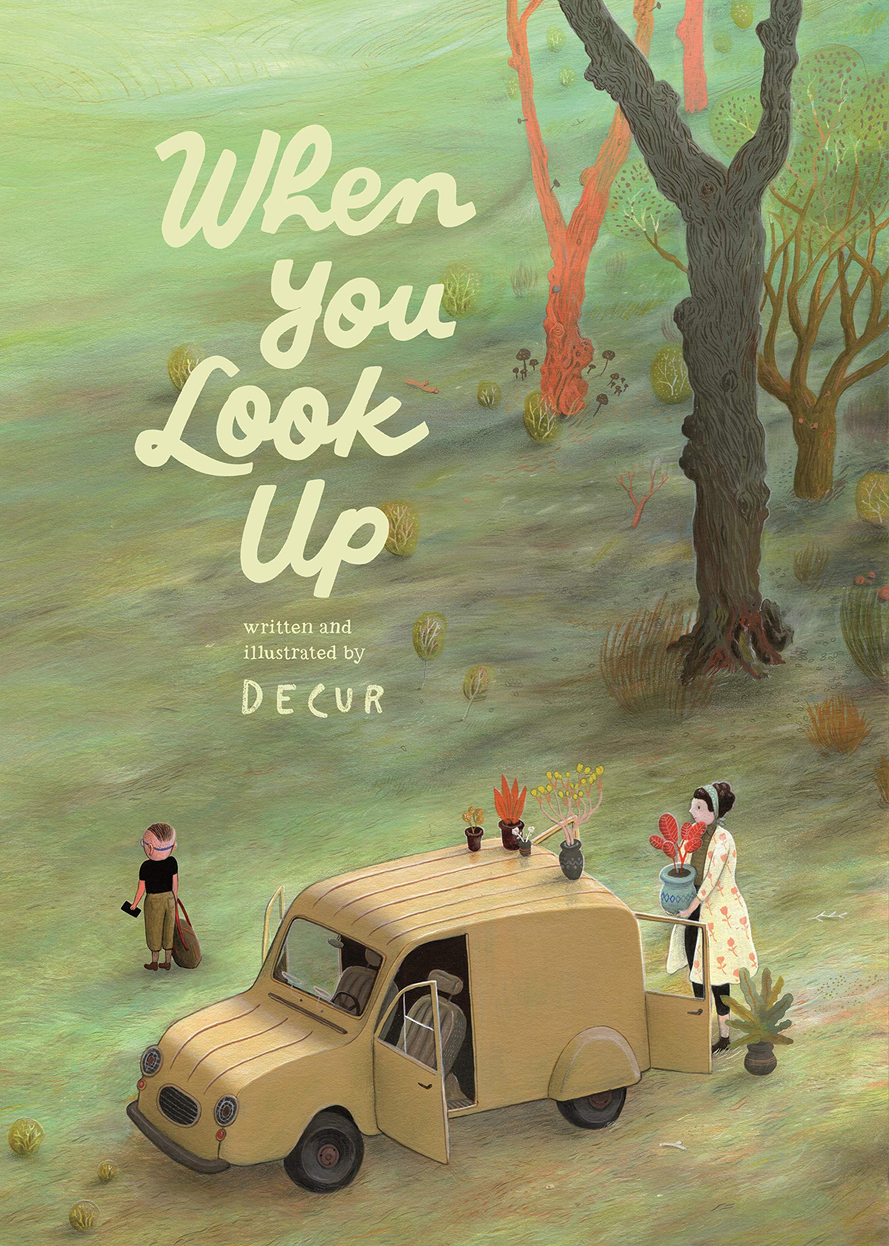 The cover to the  book "When You Look Up"