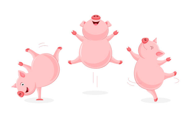 Dancing Pigs