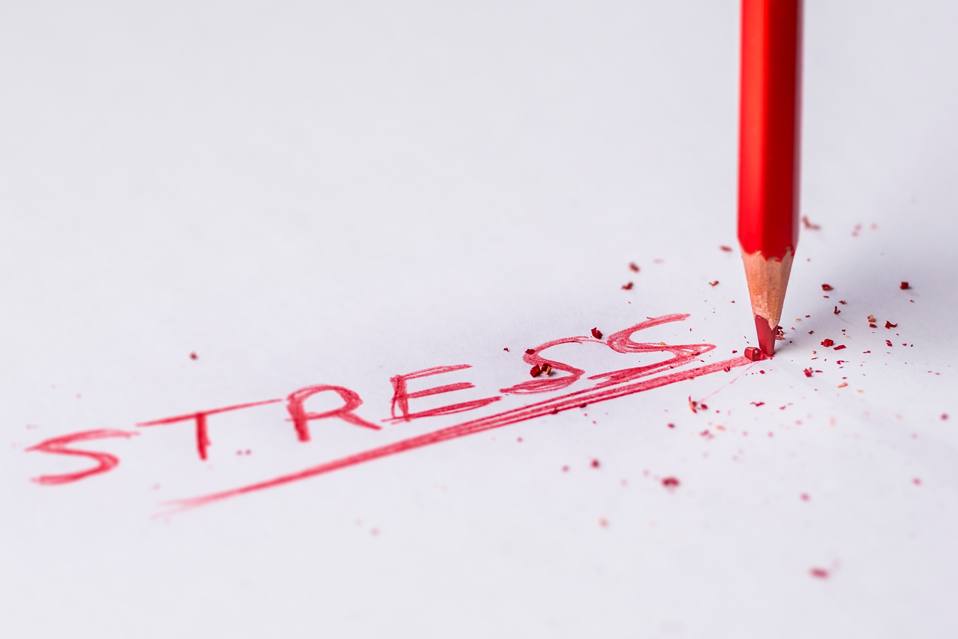 red pencil breaks as it writes the word stress