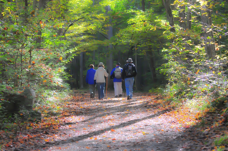 Four people on a trail area surrounded by greenery. 