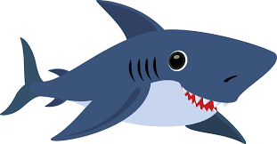 shark clip art