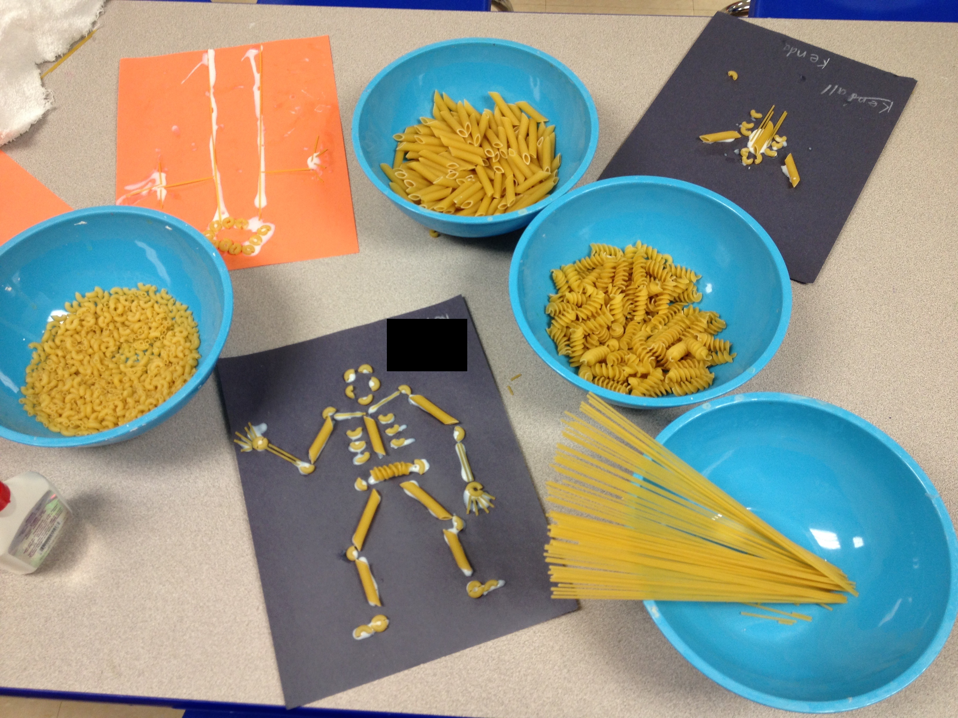 bowls of pasta and pasta skeleton samples