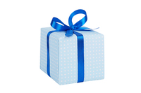 present with blue paper and blue bow