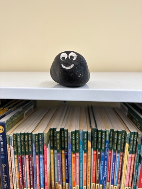 rock with painted eyes on a book shelf