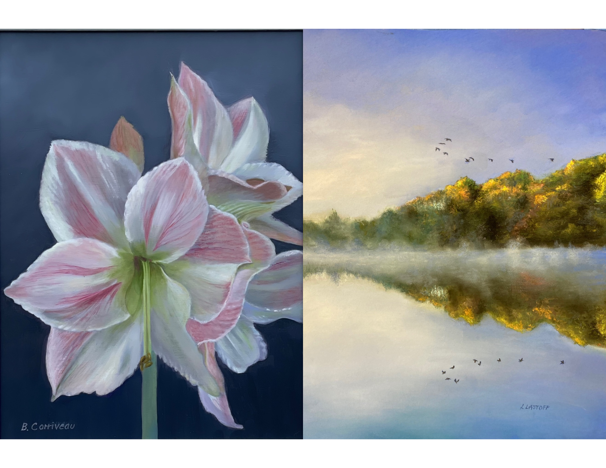 two painting next to each other, one of a pink and white flower, one of a lake scene with trees, birds, and a lake.