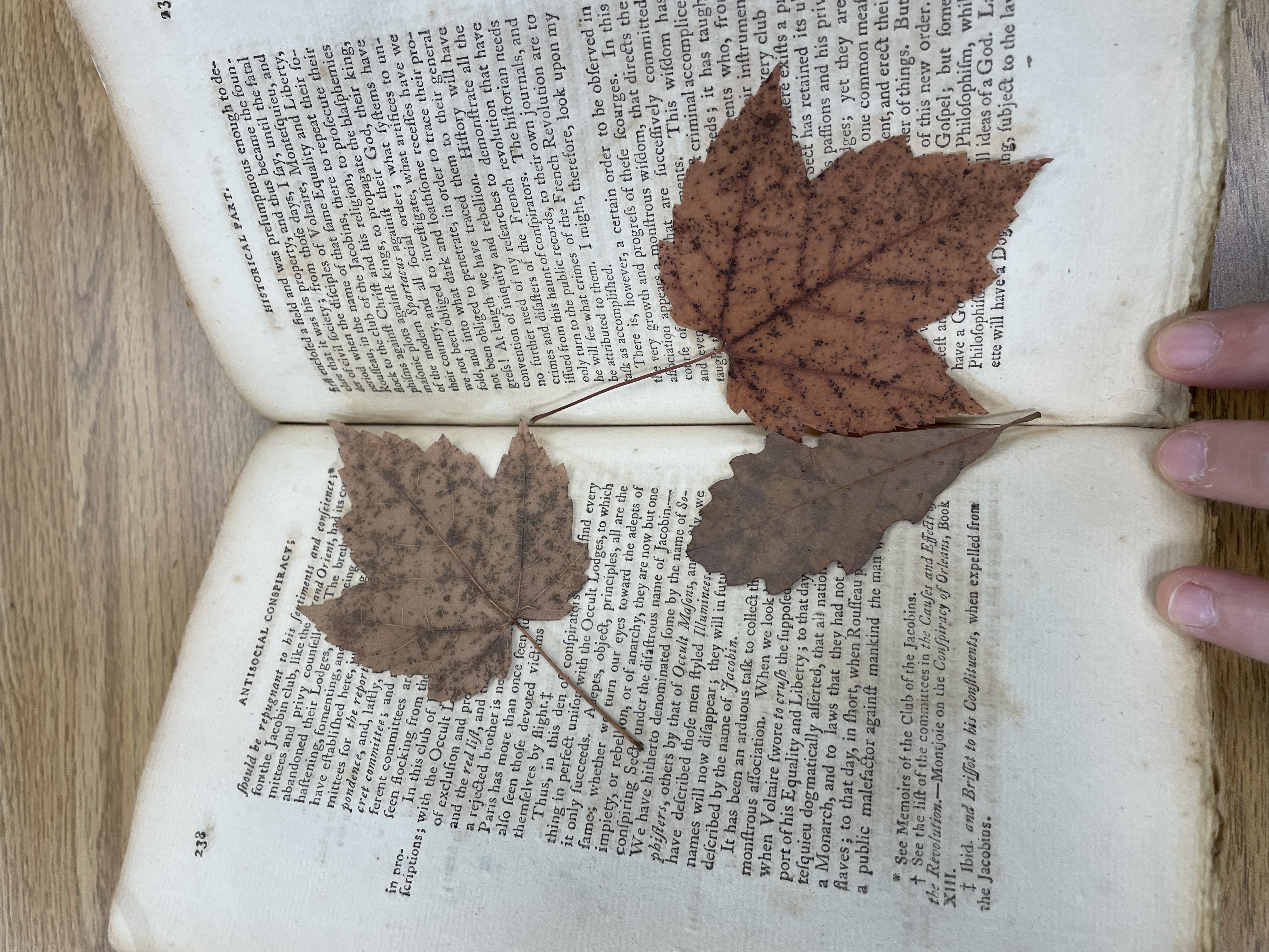 An open book with old print. Two maple leaves and one small oak leaf are scattered across the two pages.