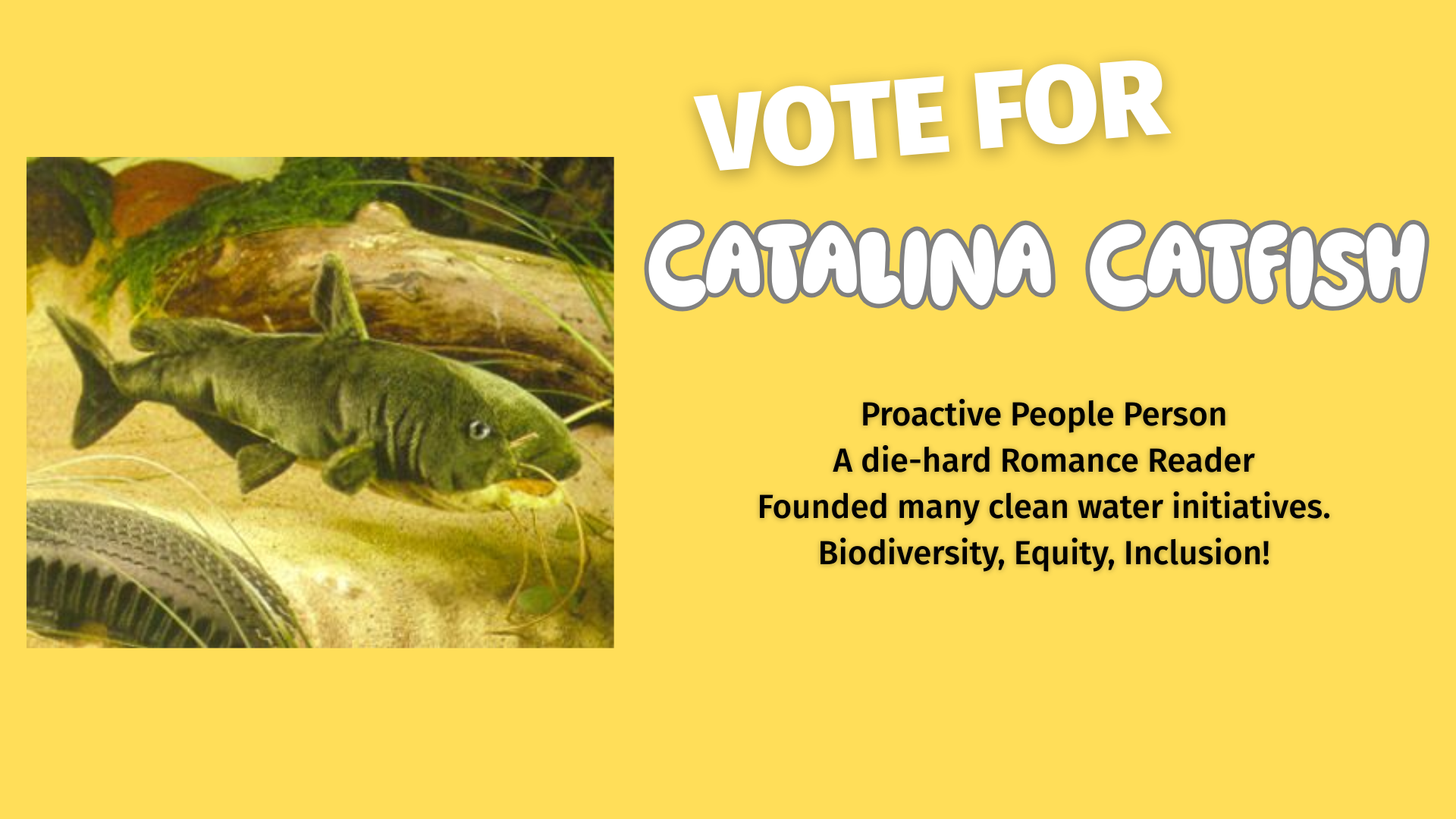 Catalina Catfish a Proactive People Person A die-hard Romance Reader Founded many clean water initiatives. Biodiversity, Equity, Inclusion!