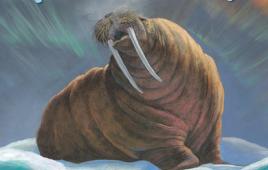 Walrus Song book cover with walrus on snow