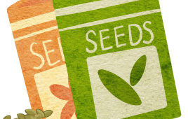 Seed Packet Illustration