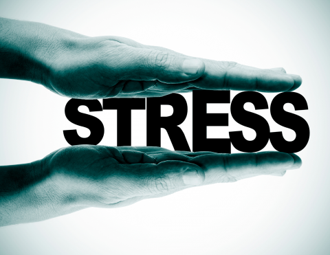 hands squeezing the word "stress" in black and white