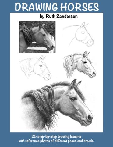 drawing horses book cover