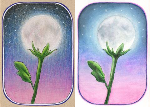 Watercolor pencil drawing