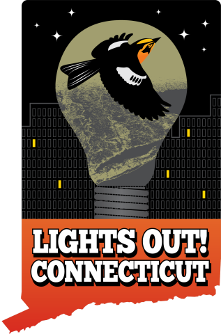 The Lights Out Connecticut Logo with a lightbulb shape with a forestry background with a bird inside against a black background of buildings and some lights