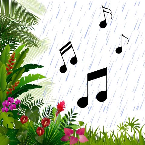 Rainforest plants in a rainy setting with black music notes over the rain.