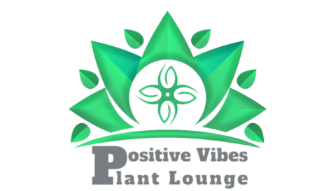 A logo with six leaves in a outward spiral circle with a design in the center. Underneath there is stylized text Positive Vibes Plant Lounge