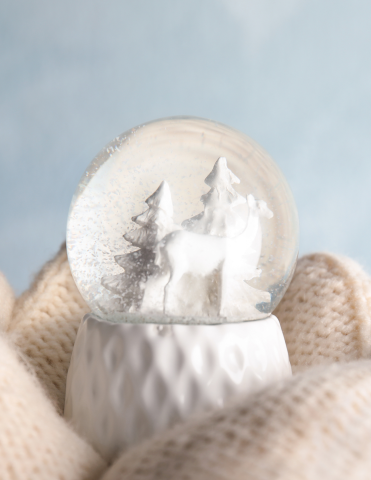 Snow Globe