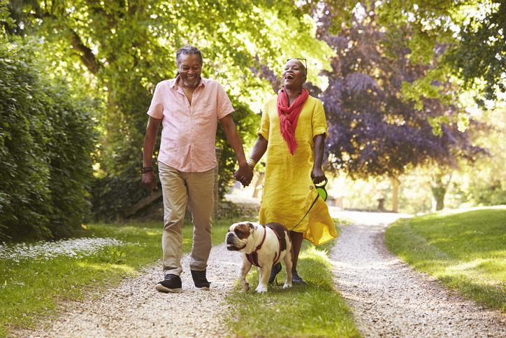 Two people and a bulldog on a leash walking on a stone pathway through a area with trees and grass