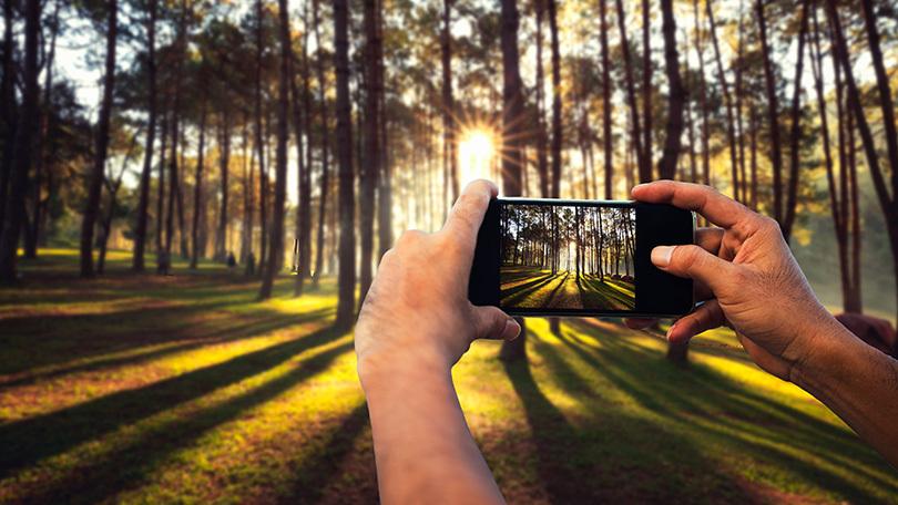 person taking a photo on their cellphone