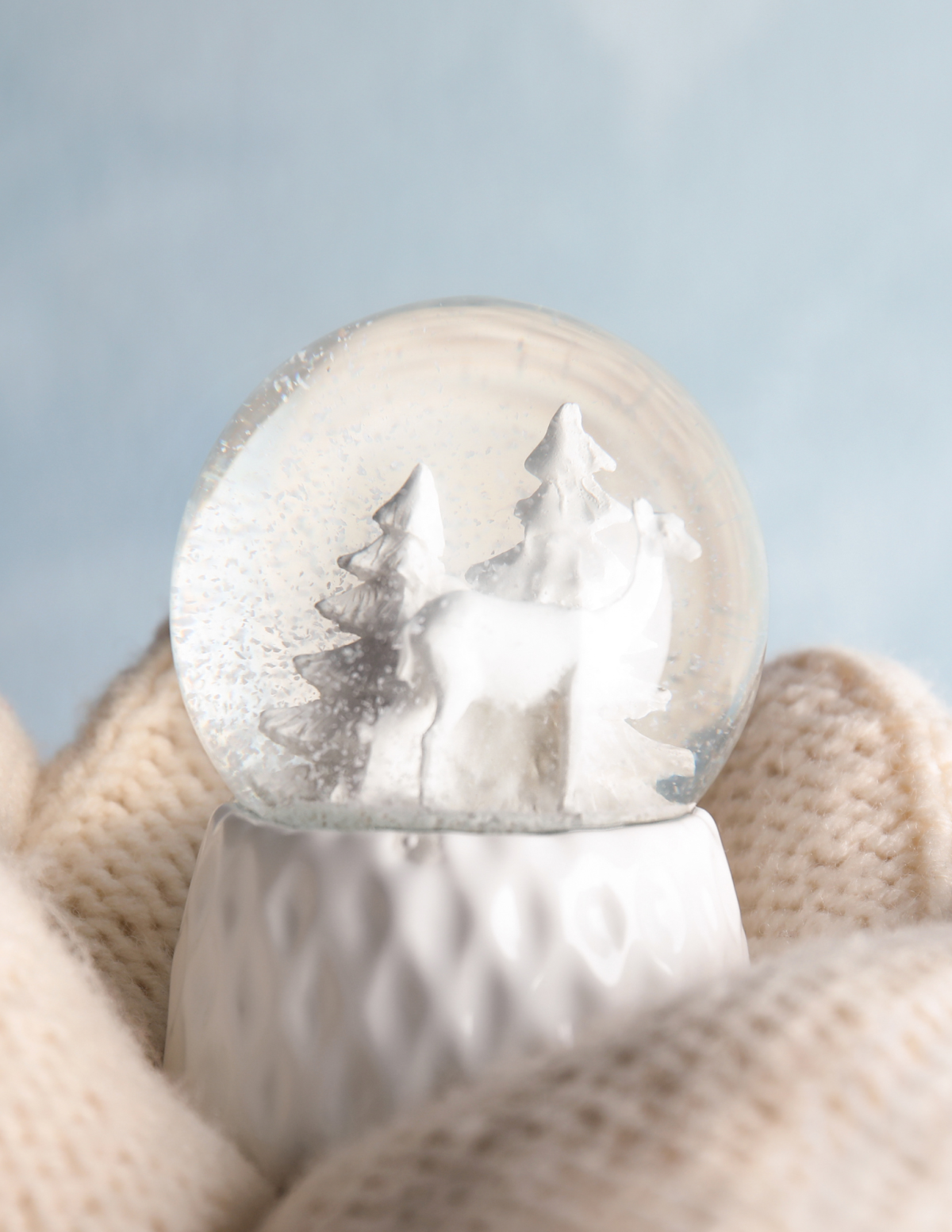 Snow Globe