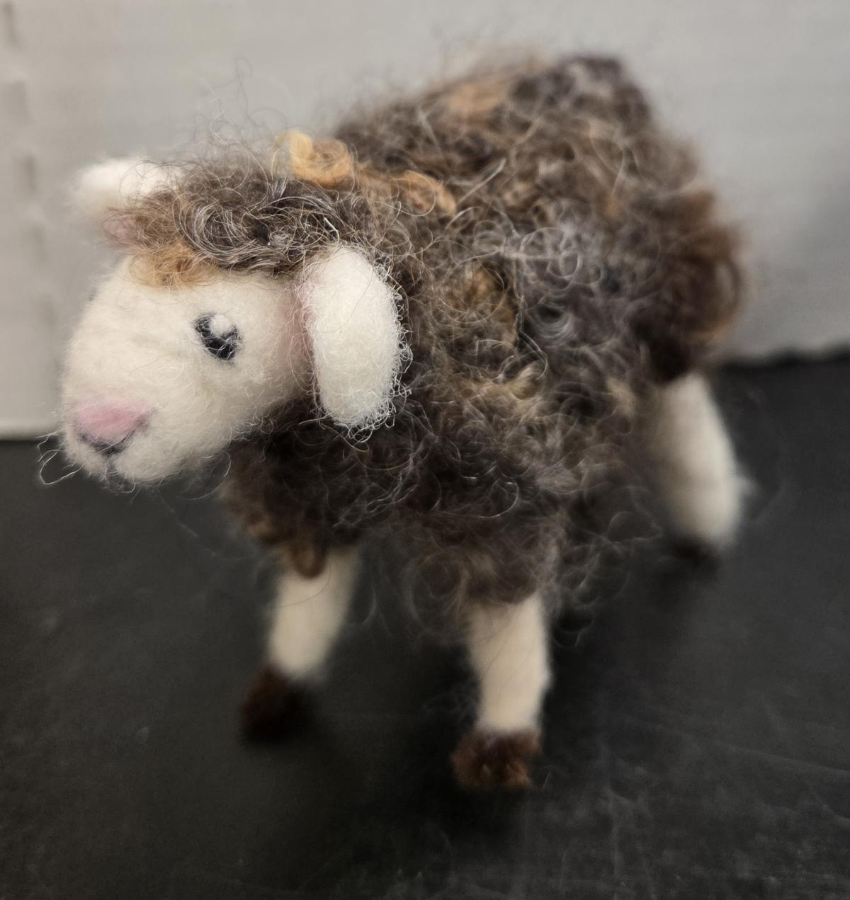 Woolen Lamb