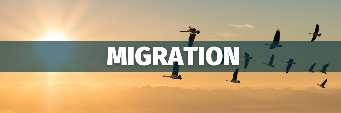 Migration header