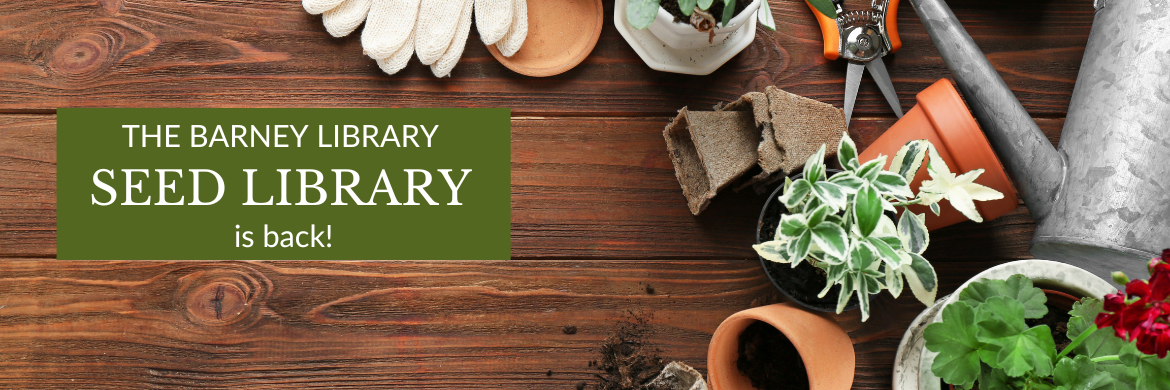 Seed Library is back