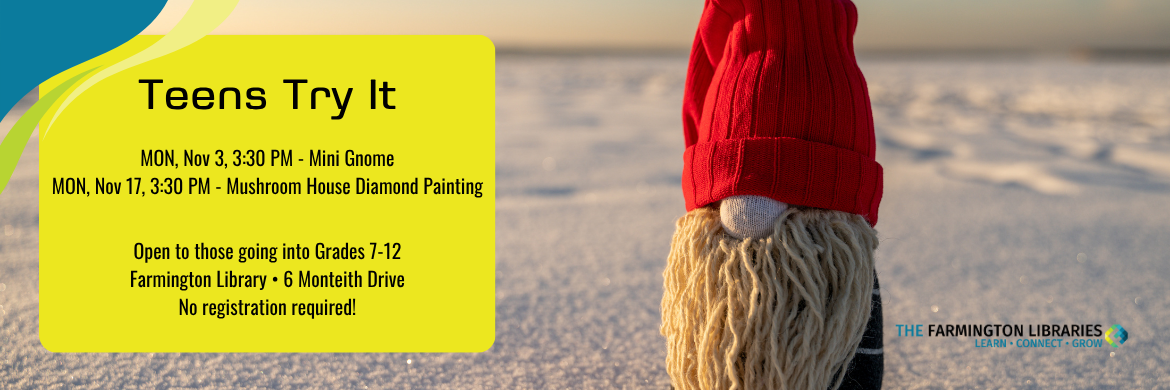 November 2025 Teens Try It Slider